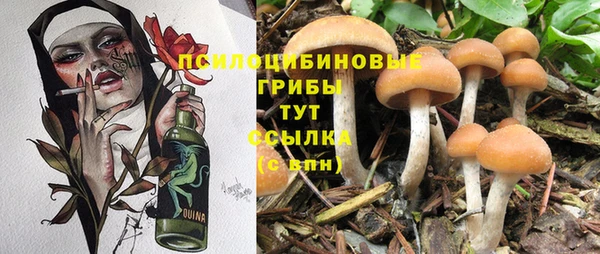 прущие крисы Аркадак