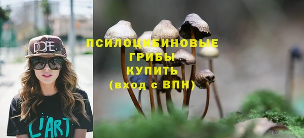 прущие крисы Аркадак