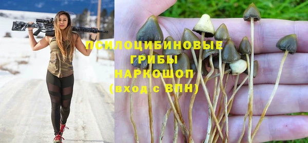 твердый Арсеньев
