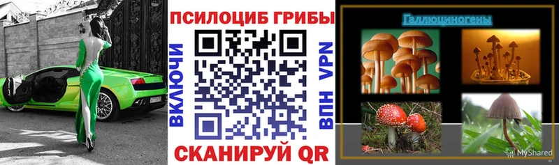 где продают   Лихославль  ссылка на мегу вход  Псилоцибиновые грибы ЛСД 