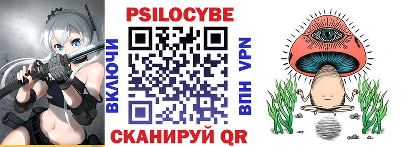 Псилоцибиновые грибы Cubensis Лихославль